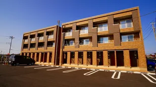 オリエンタルコートBの画像