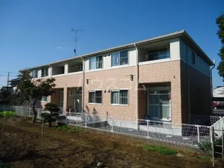 SOCIO FAMILIAの画像