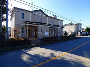 シゴーニュIの画像