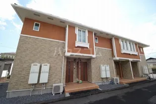 コッティの画像