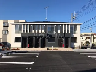 シャインズの画像