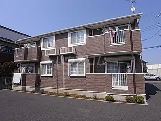 アムールDの画像