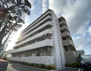 サンライズコードの画像