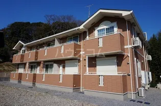 プラシード ー エムの画像