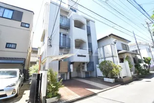 ドームス ステラの画像