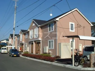 アルティプラーノハヤシIVの画像