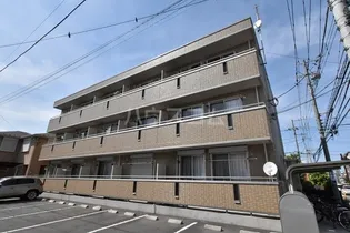 GEMINI ONNAの画像