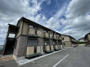 チェリーセージの画像