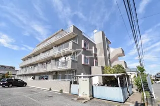 ドリーミー静の画像