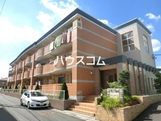 リズ センティア Bの画像