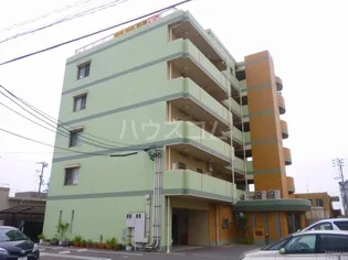 フォレスト裕萌里の画像