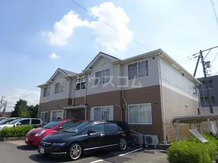 ドルソニオンBの画像