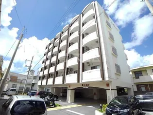 盛キャラバンの画像