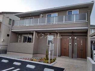 プリムローズの画像