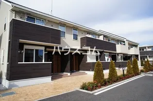 パレドールAの画像