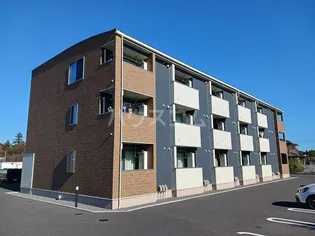 ライトコートナインの画像