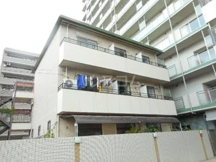 セラ伊藤の画像