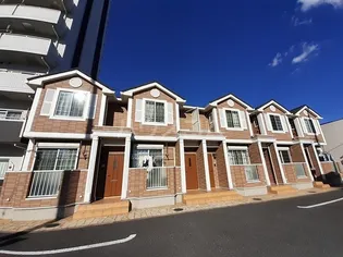 ユーミーステラの画像