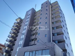 スタークレストの画像