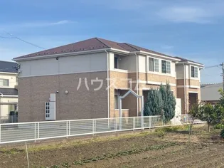 サンコート ブロッコリーの画像