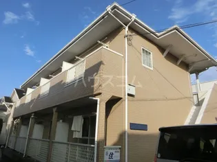 プリムラサカイの画像