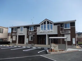 ルピナスの画像