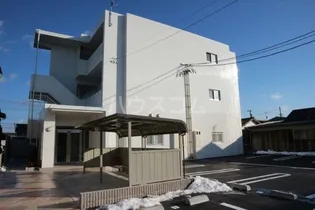 ベリッシーモの画像