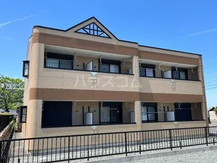 プチバイオレットの画像