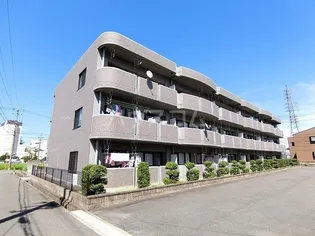 シャルマン ヴェガの画像