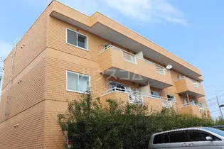 サンフラワーIの画像