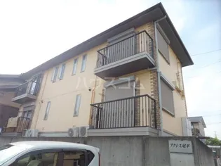 アクシス尾平の画像