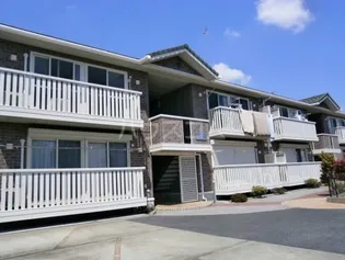 ラディアントの画像