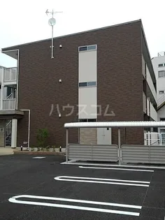 マウンテンメープルの画像