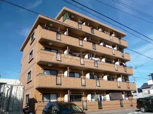 オーシャンブルーの画像