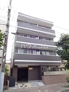 ハーミットパープルの画像