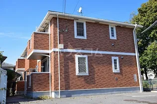 サンライト ユーの画像