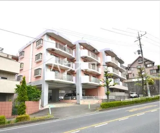 パステル八芳の画像