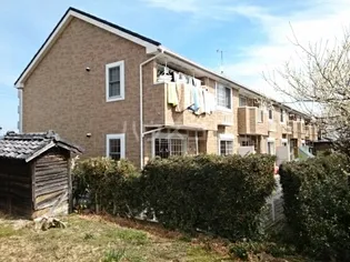 スイートベリーの画像