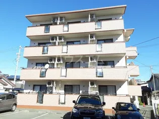 AKOYA PERLEIの画像