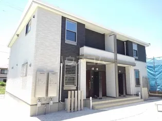 ルタンミズタケBの画像