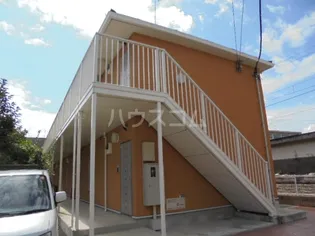 プリムローズMの画像