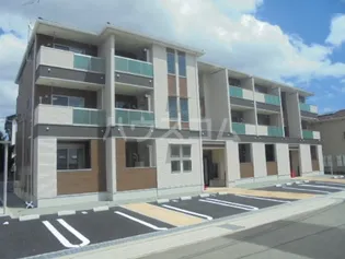 カメリアの画像