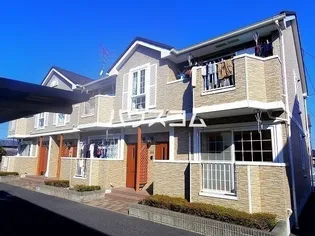 エヴァーグリーンIIの画像