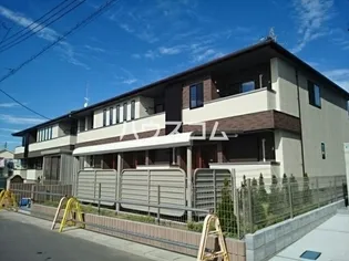 コスモス ストリートの画像