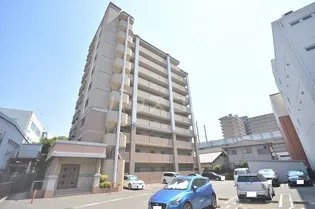 グレイス竹下の画像