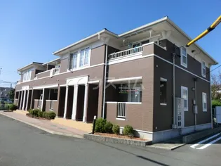 プリムローズBの画像