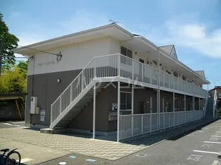 チェリーブロッサムAの画像