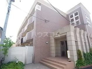 ルピナスの画像