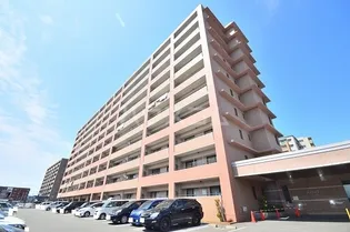 アイタス福岡の画像