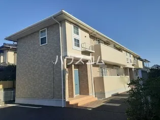 ライム ウッドの画像